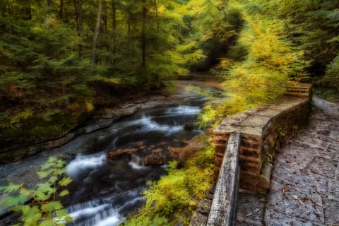 A serene river flows through a lush, green forest with colorful autumn foliage.