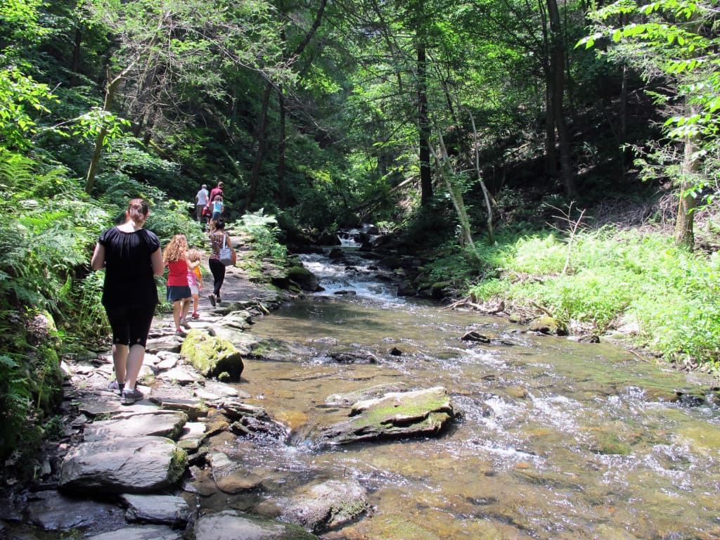 People walking along a rocky path beside a flowing stream in a lush, green forest. People walking along a rocky path beside a flowing stream in a lush, green forest.