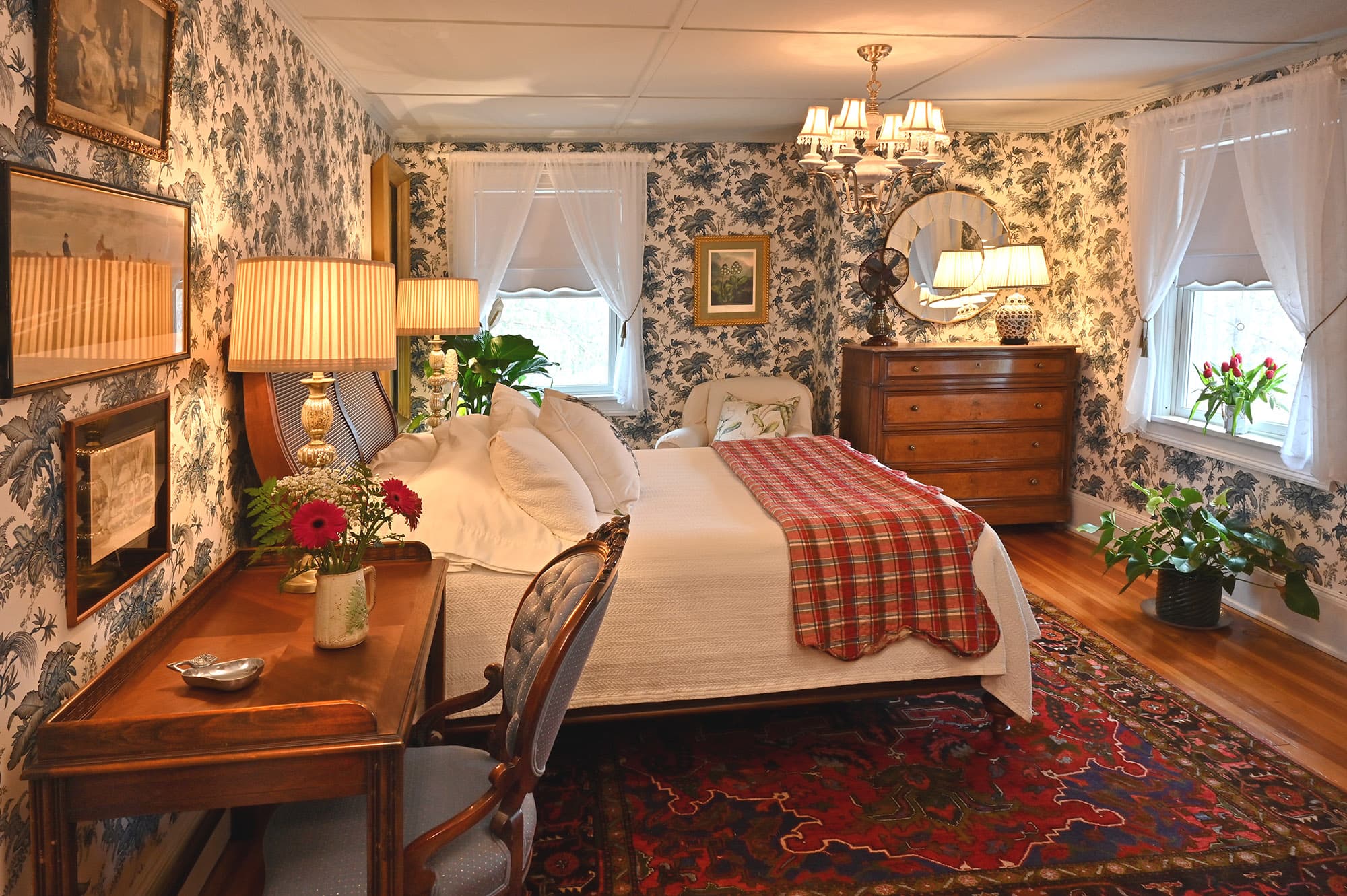 blue and red middle eastern rug brown dresser in back right corner in between two windows. White chandelier with five white shades lit up.