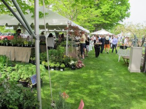 tents in field with shoppers and plants