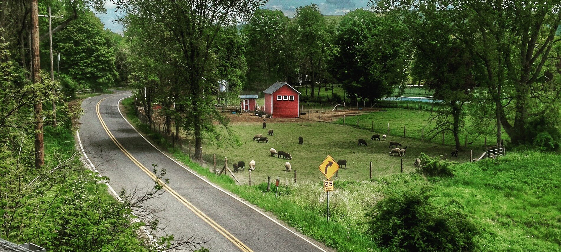 Empty country road next to a farm with a red barn and animals grazing in a pasture