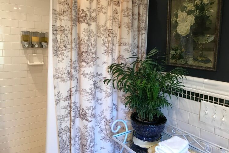 Tall shower with white and black patterned shower curtain next to a table holding green plant in blue pot