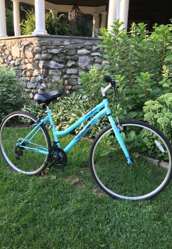 Blue two-wheeled bicycle in front of a stone porch and green bushes